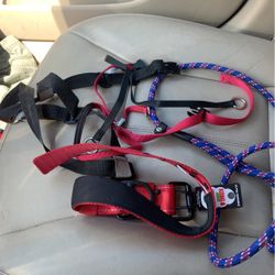 Dog Leashes 