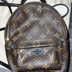 Louis Vuitton Palm Springs Backpack