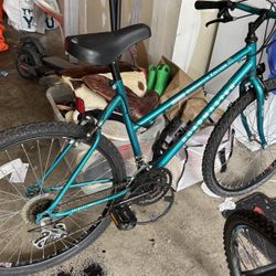 Adult Mountain Bike - GREAT PRICE FOR IMMEDIATE PICKUP 