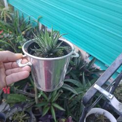 You Can Pick A It catches and I have things to sit https://offerup.com/redirect/?o=ZGVwb3NpdGVkLllvdQ== make it organizer