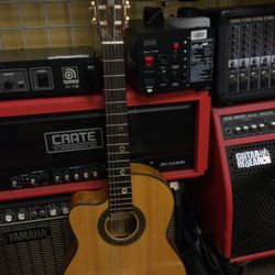 Martin And Co Acoustic-Electric Guitar 