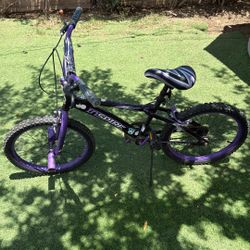 Purple Girls Bike 