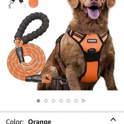 Dog harness.