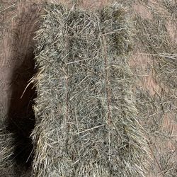 Timothy Orchard Combination Hay