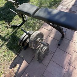 Weight Bench With Weights