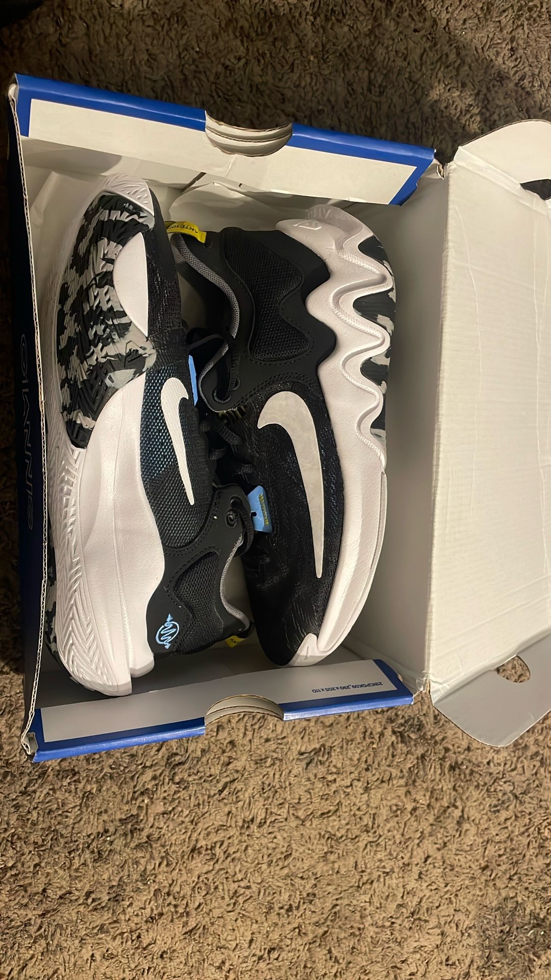 Basketball Shoes