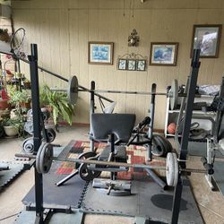 Weights 