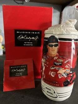 Dale Earnhardt JR Stein
