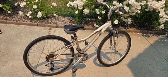 Schwinn cruising bike