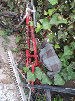 Mongoose BMX freestyle Bike