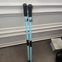 Jetti Walking Sticks