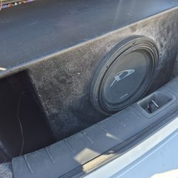 12 alpine typer  x 220 today