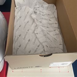 lacoste size 13