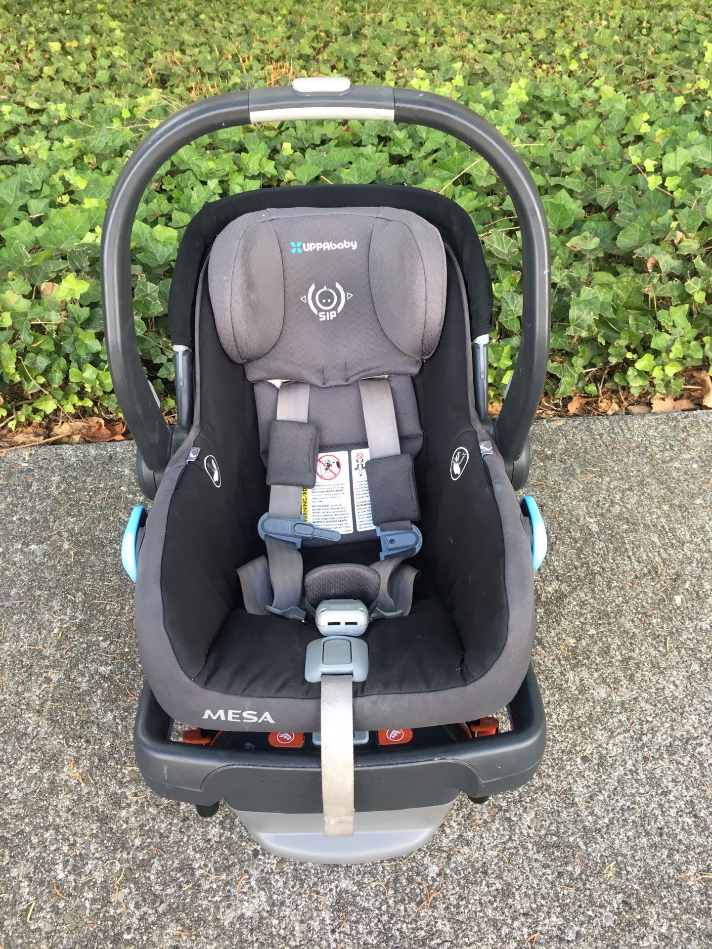 UPPAbaby Mesa car seat and base