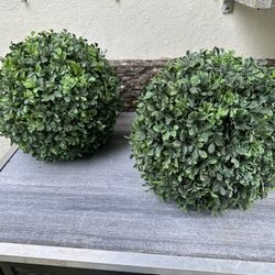 Set Of Boxwood Orbs 