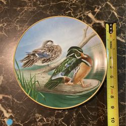 Collectible Plate