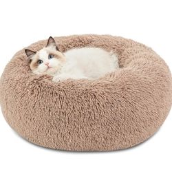 Cat Bed
