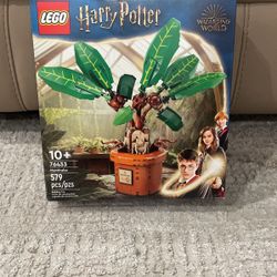 Empty Lego Box