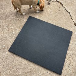Damaged & Blemished 4ftx6ft Rubber Horse Stall Mats for gym and garage