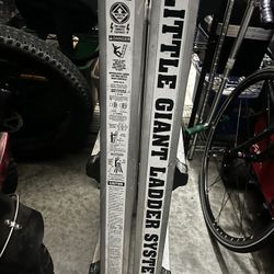 Little Giant Ladder System
