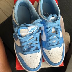 Nike Dunks-no Box