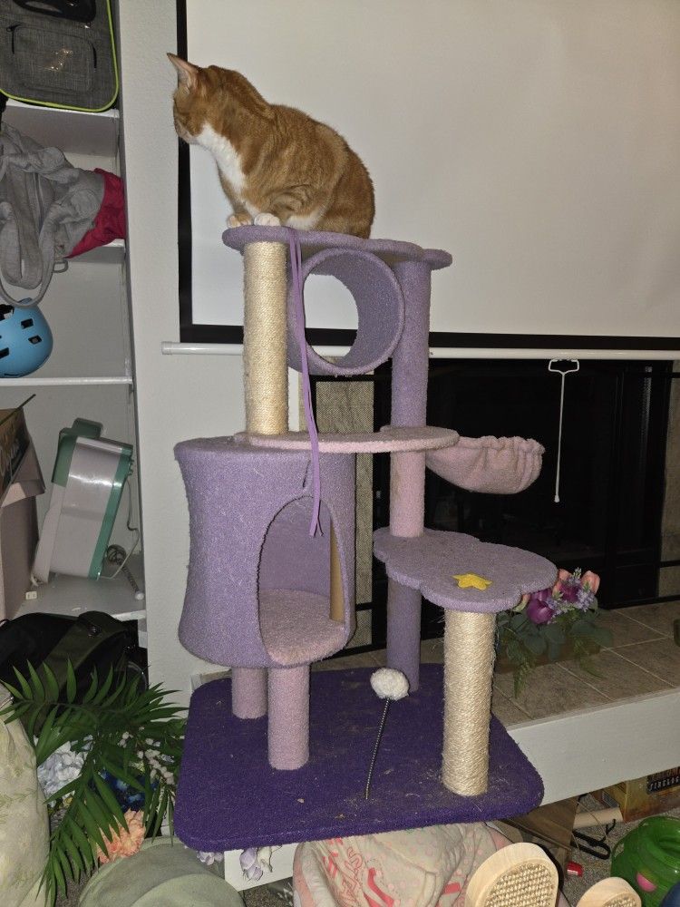 Cat Tree