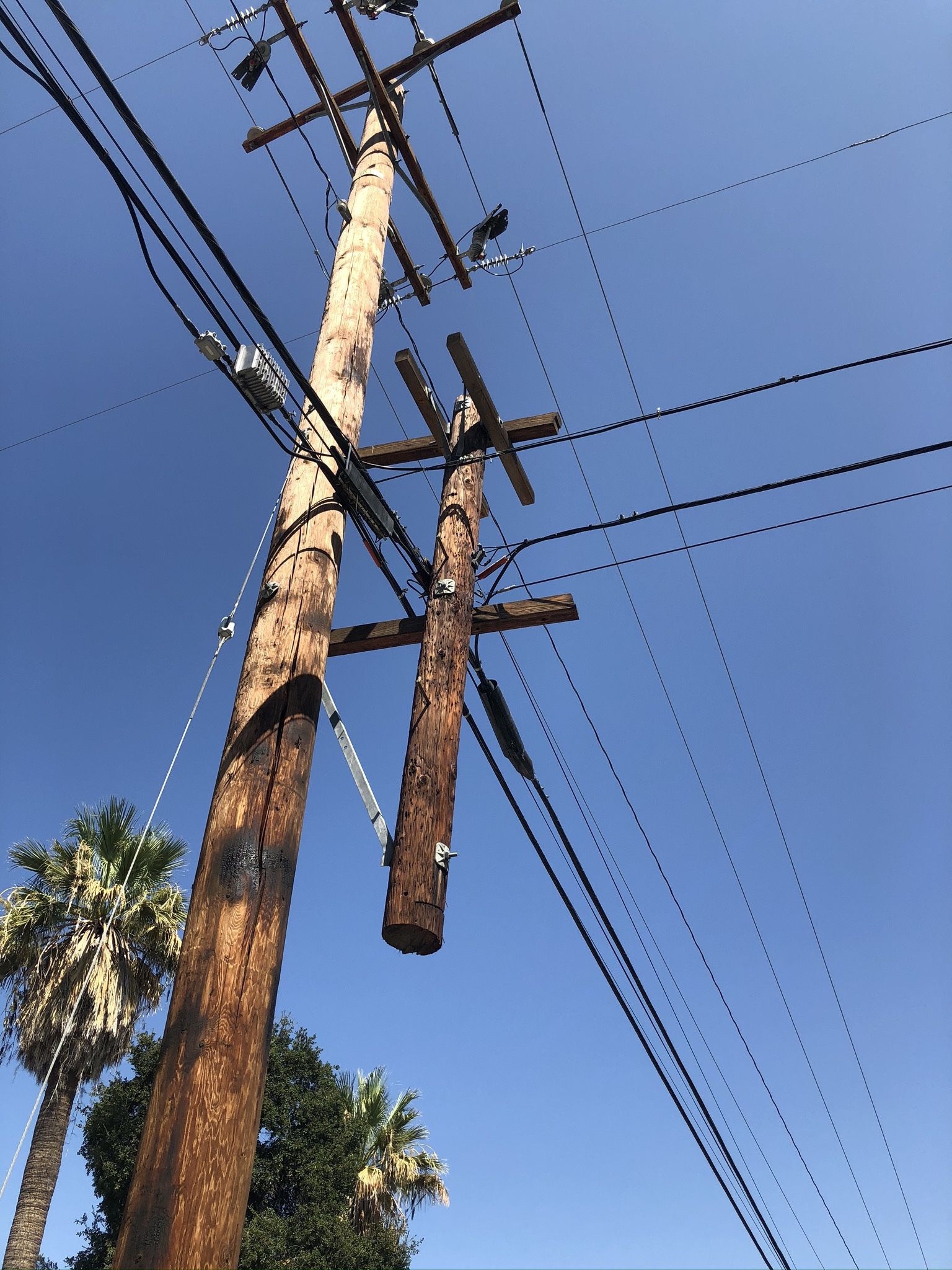 Telephone Poles 2024 As Of 2/1/2024 I Still Have Them Poles