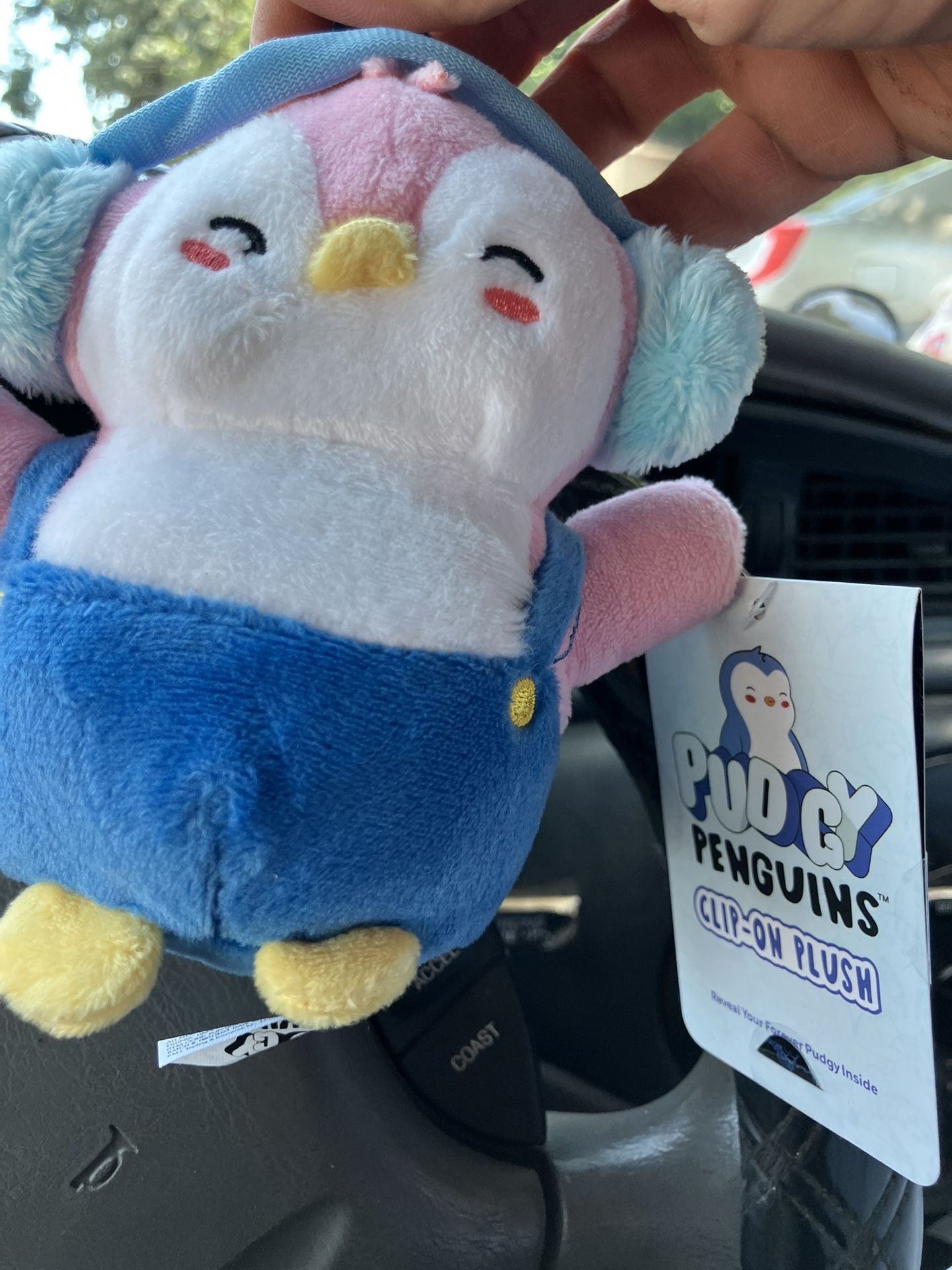 Pudgy penguins
