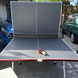 Ping Pong Table 
