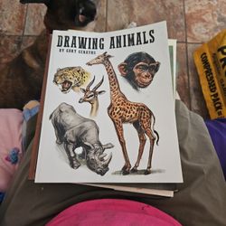 Drawing Animals Book