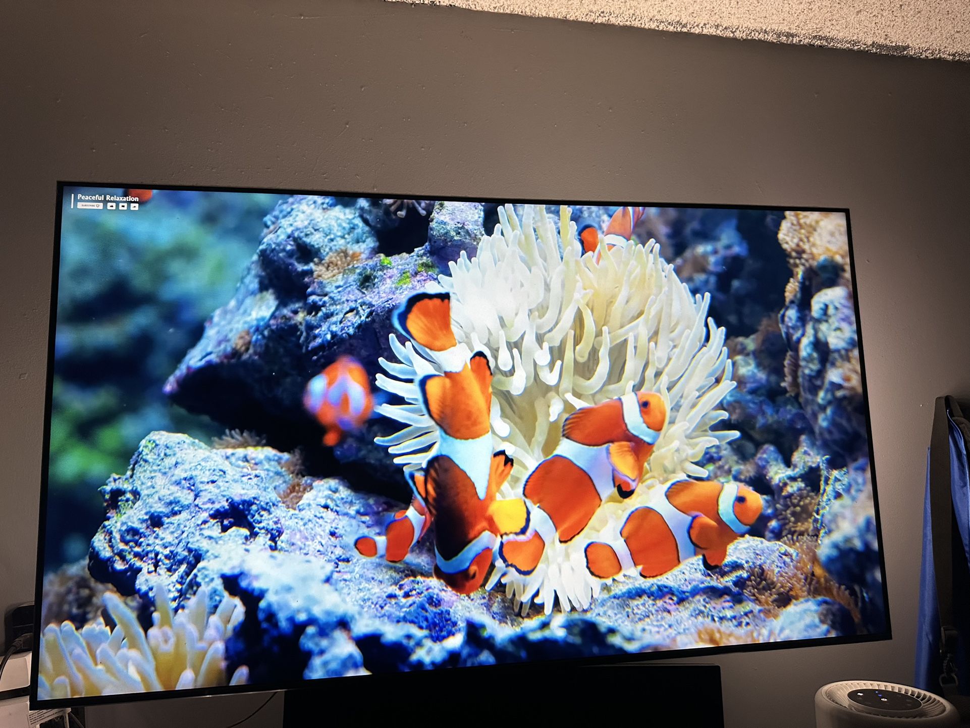 55 Inch Samsung TV