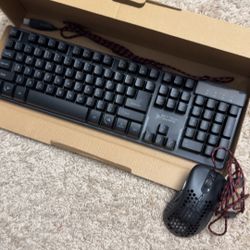 Keyboard + Mouse