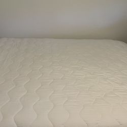 Free Queen Mattress and Box Spring 