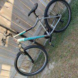 Schwinn Bike 