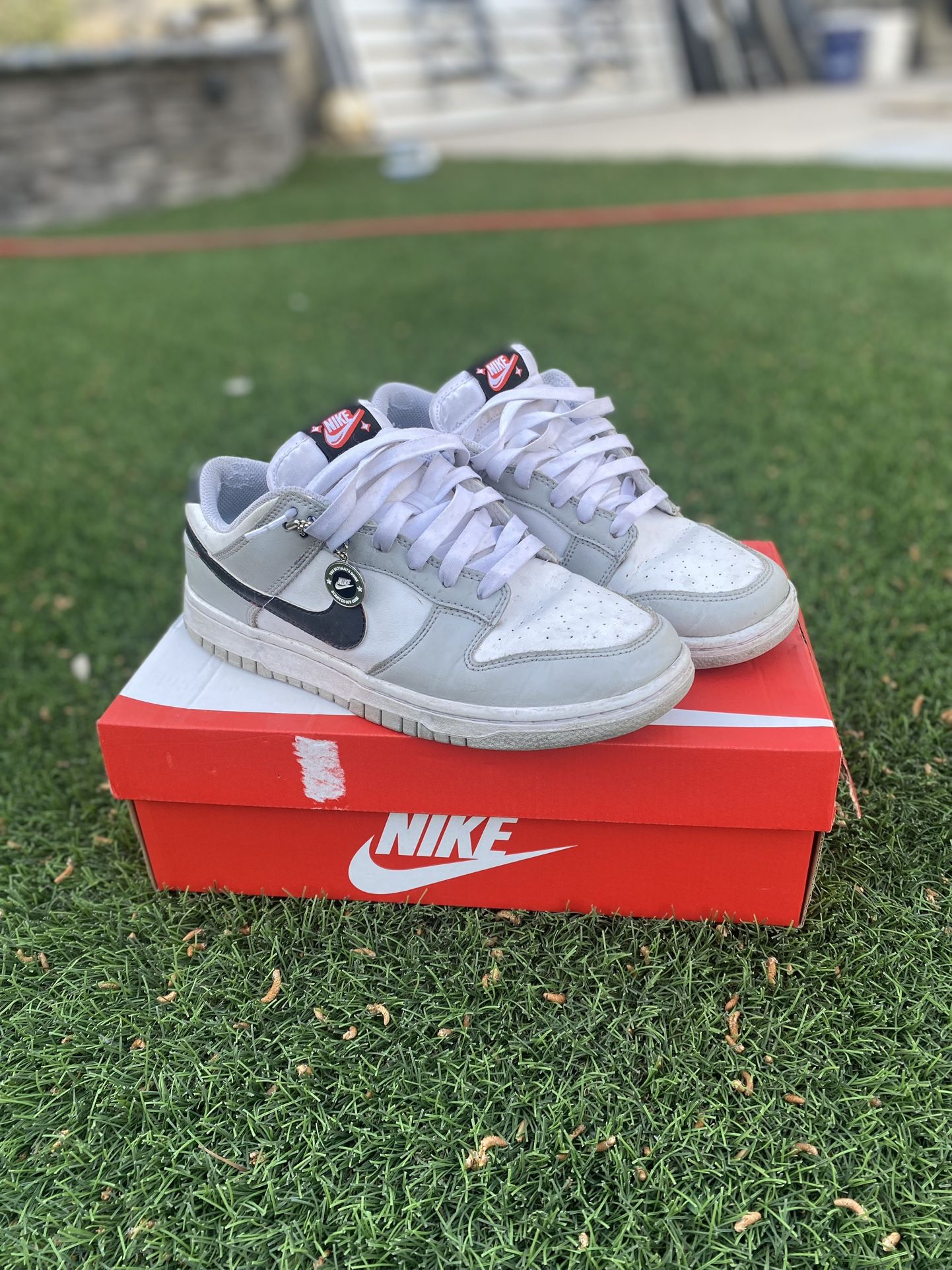 Nike Dunk Low SE 