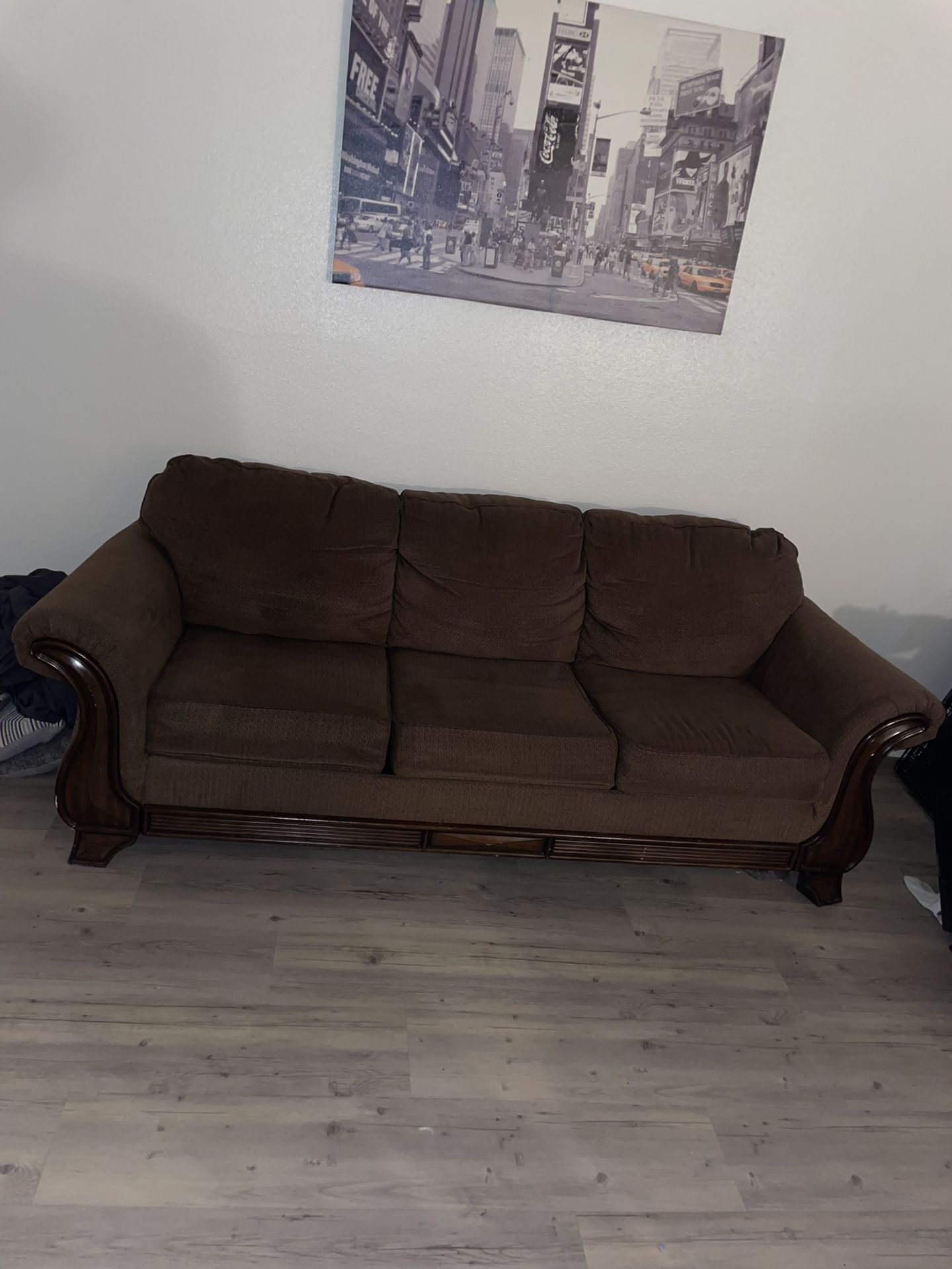 Couches With Pull Out Bed