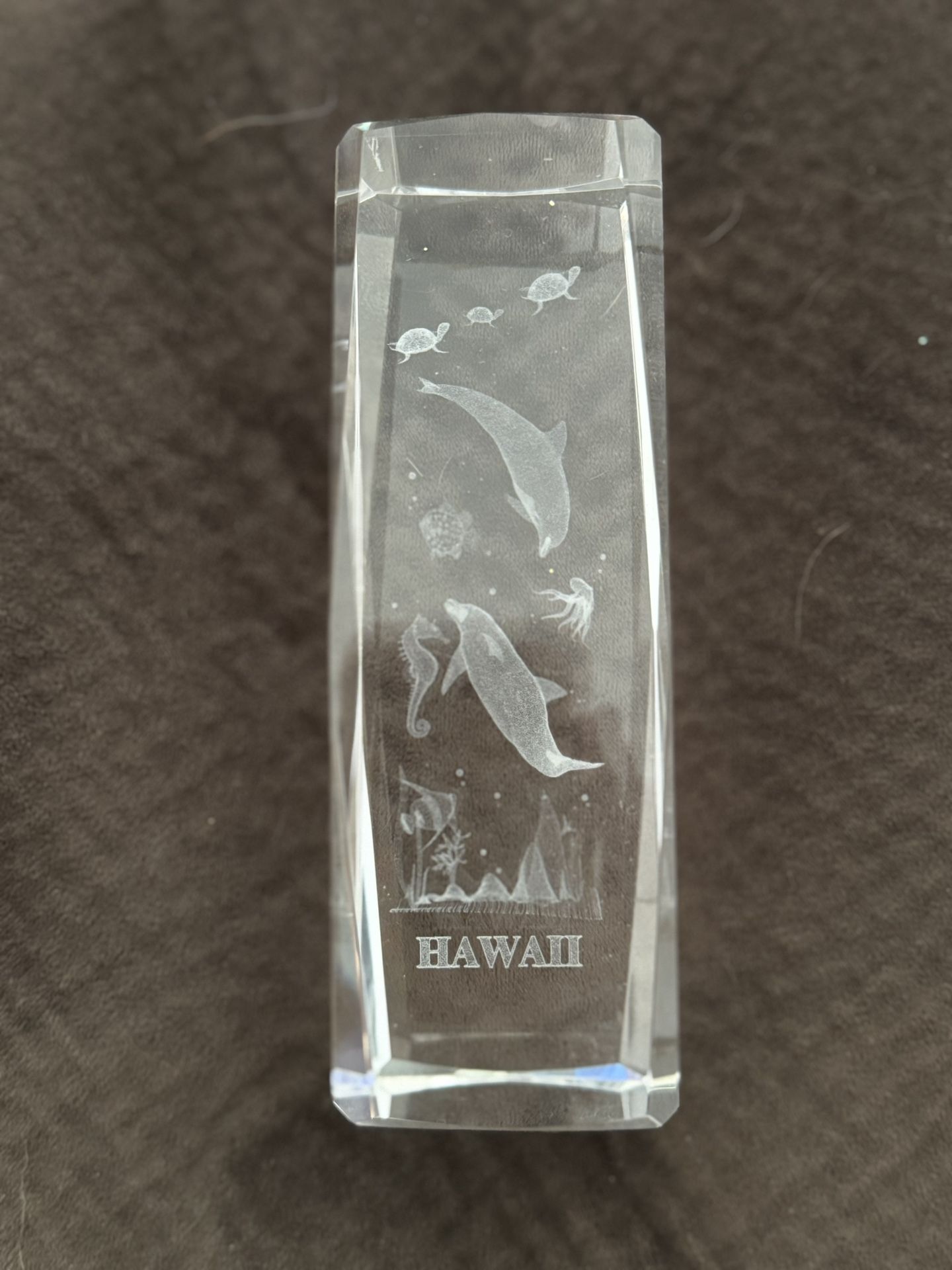 Etched Crystal Hawaiian Paper Weights 
