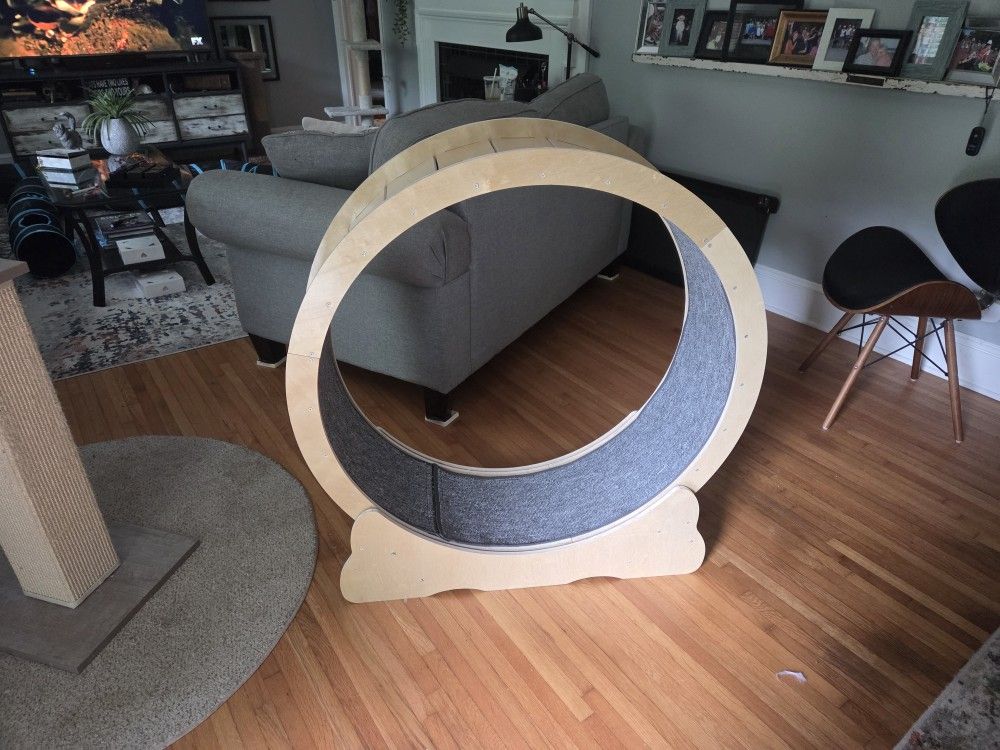 Large Cat Of Dog Treadmill