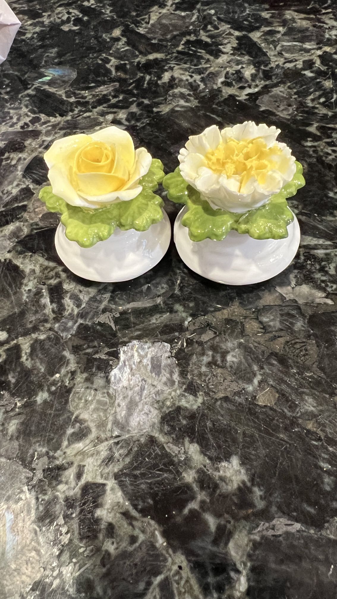 Salt And Pepper Shakers/ Bone China
