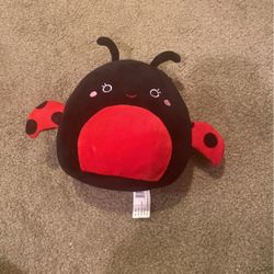 Ladybug Squishmellow! 🖤♥️🐞