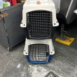 Dog Kennels