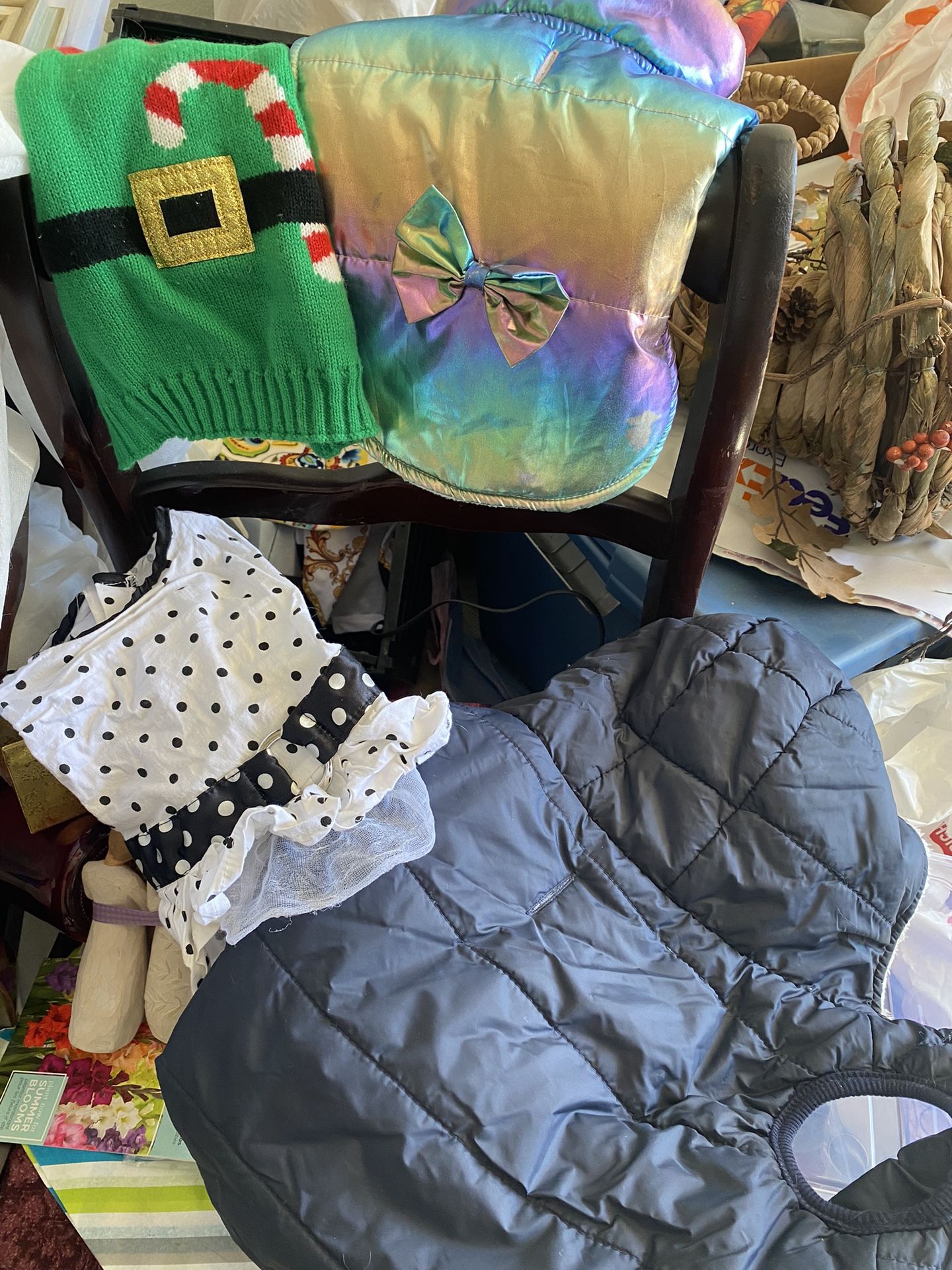 Clothes for a small Chihuahua