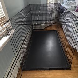 Dog Kennel For Large Dogs