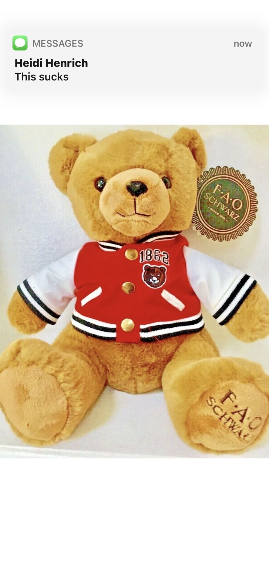 FAO Schwartz Teddy Bear New