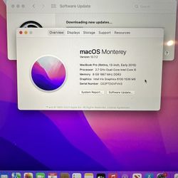 Early 2015 MacBook Pro 13 Inch Works Well