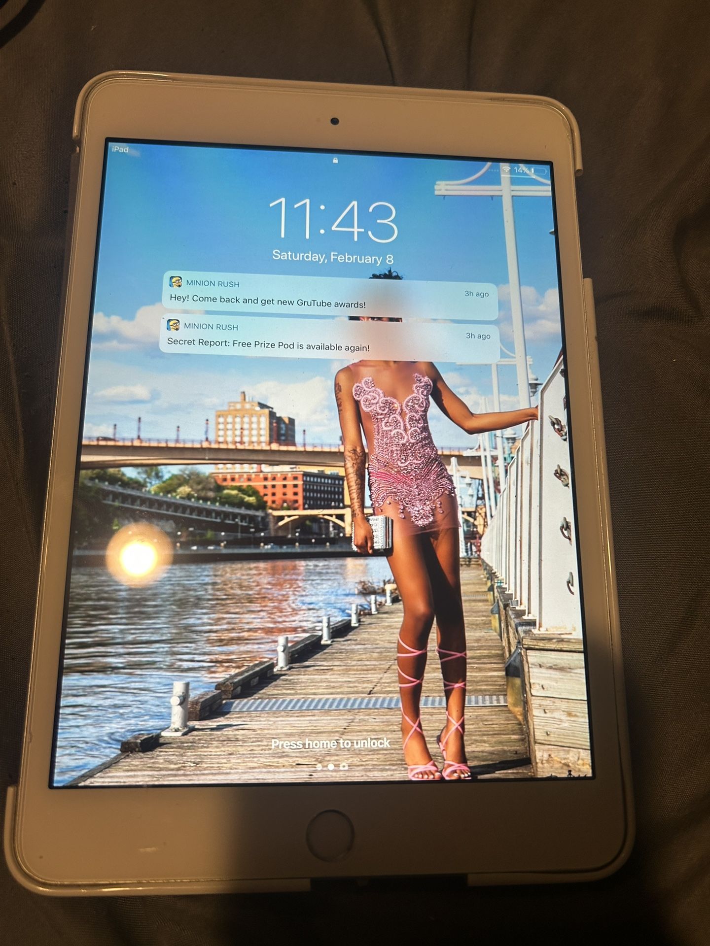 iPad Mini 2