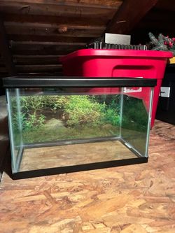 5 gal tank