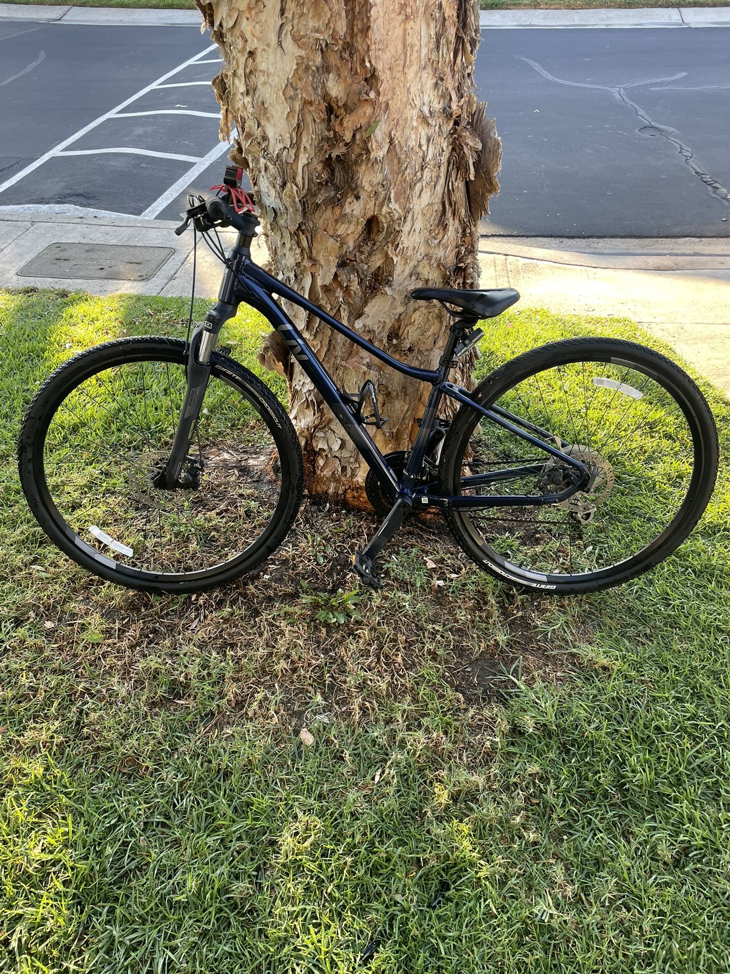 Rove 2 DD Giant brand bike. Good shape typical wear.