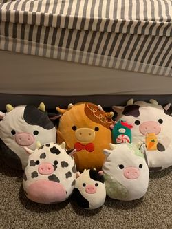Squishmallow cow bundle