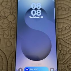 Samsung S25 Ultra 256 GB